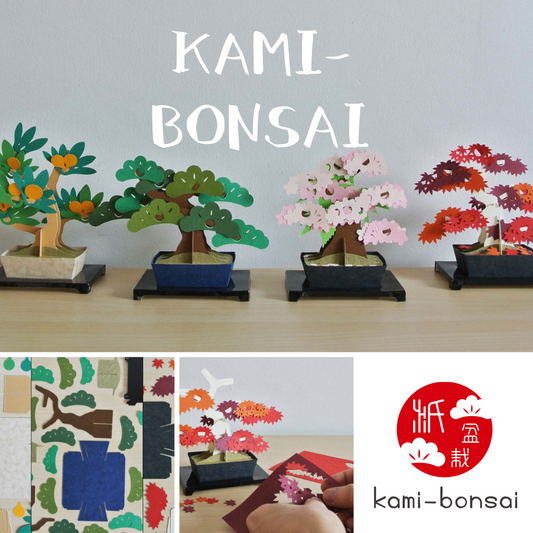 kami-bonsai　紹介動画なのだ！