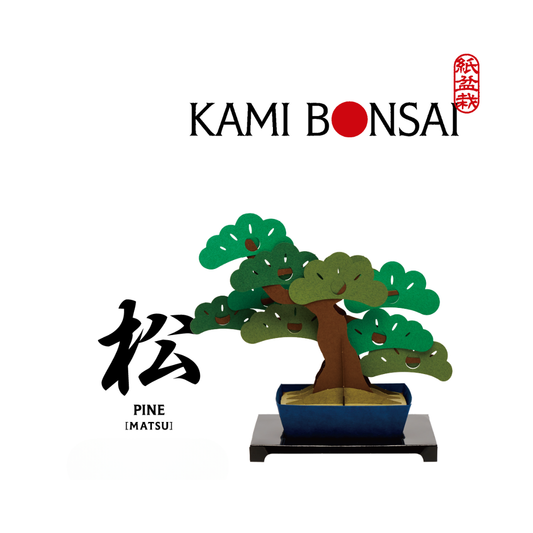 kami-bonsai 松