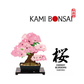 kami-bonsai 桜