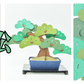 kami-bonsai 4種セット
