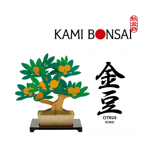 kami-bonsai 金豆